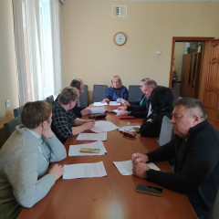 заседание постоянной комиссии по бюджету, налогам, финансам и инвестиционной политике - фото - 1