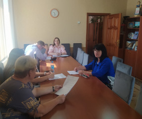 заседание постоянной комиссии по местному самоуправлению, регламенту и депутатской этике - фото - 2