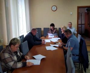 заседание постоянной комиссии по бюджету, налогам, финансам и инвестиционной политике - фото - 2