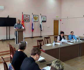 внеочередное заседание Совета депутатов - фото - 4