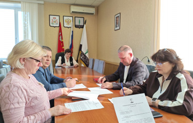 заседание постоянной комиссии Совета депутатов по бюджету, налогам, финансам и инвестиционной политике - фото - 3